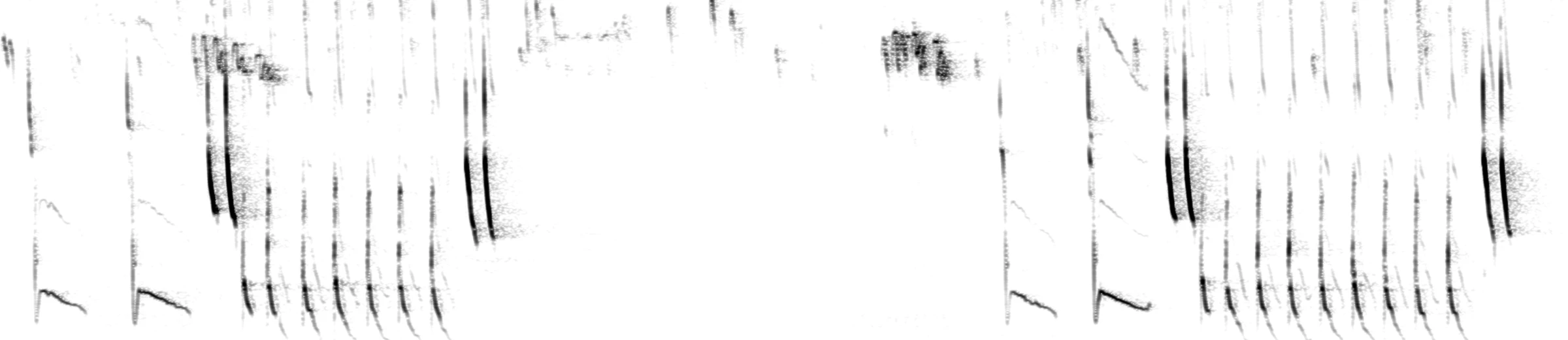 A spectrogram of a Northern Cardinal’s song