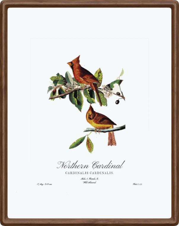 The 13-inch frame